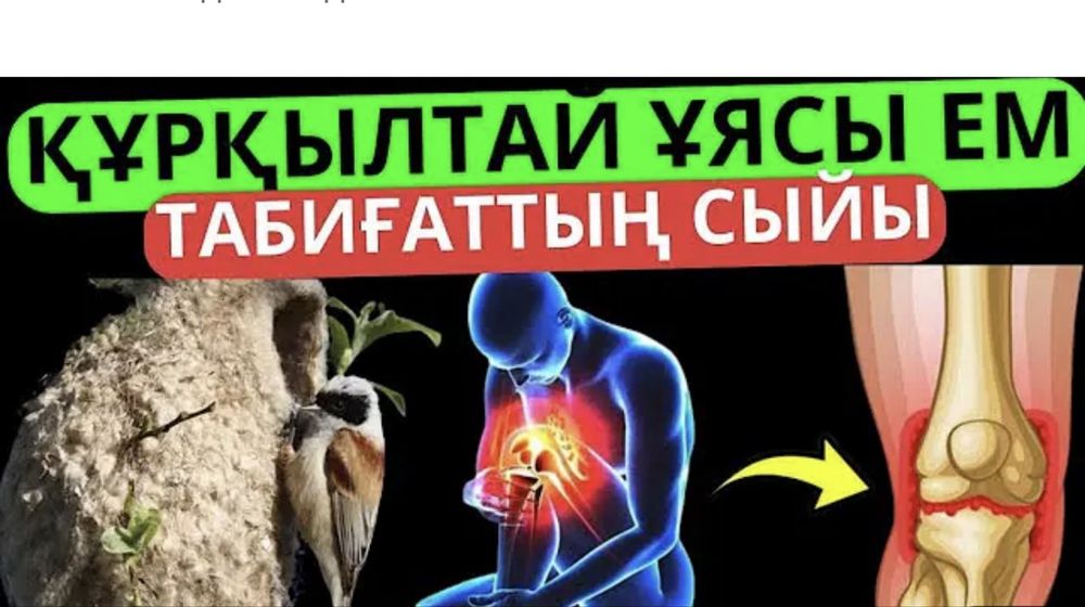 құрқылтайдың ұясы