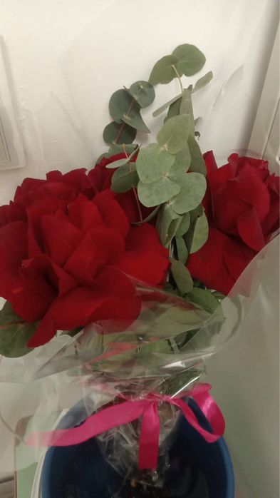 Красные розя 5 штук