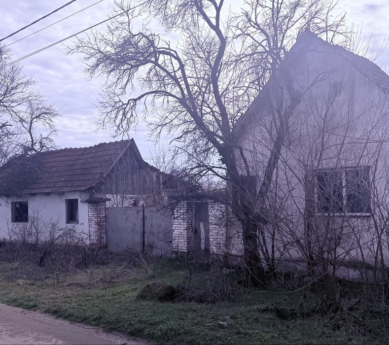 Trei case de vanzare cu 1400 m.p pamant jud  Arad sat rapsig…
