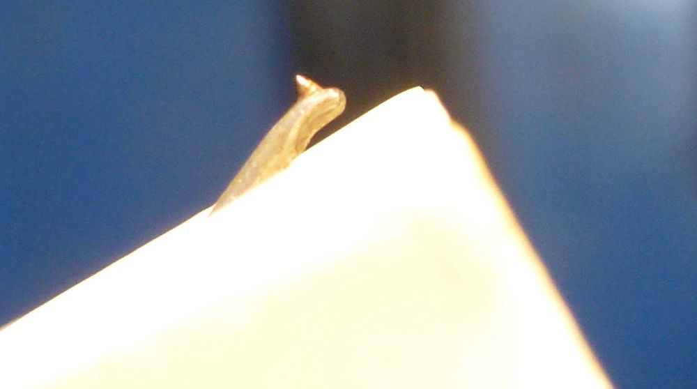 Ремонт, профилактика, поддръжка, възстановяване и модване на ГРАМОФОНИ