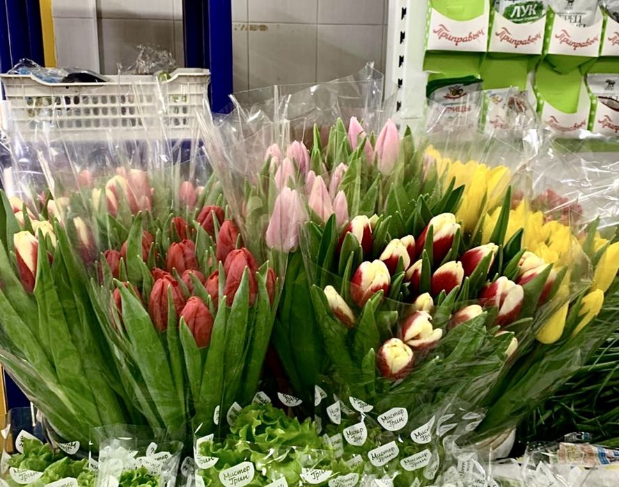 Свежие Тюльпаны-Голландия,Костанай