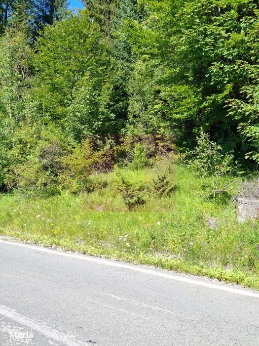 Teren de vânzare în zona Cota 1000 – Sinaia