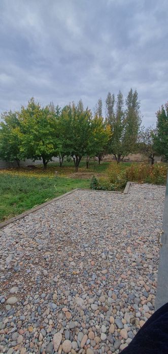 Срочна участка сотилади 10 сотх келишилади