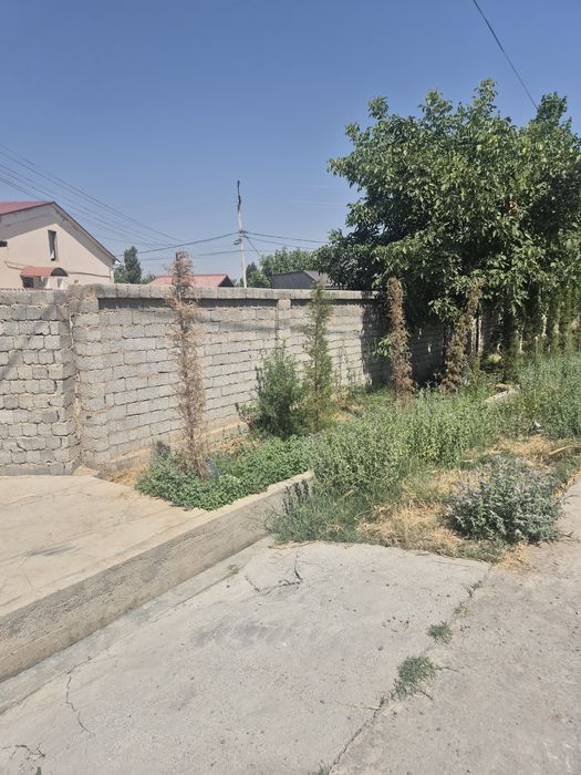 Keles Novoyi idorada noturar 3.9 sotix yer sotiladi noturar joy