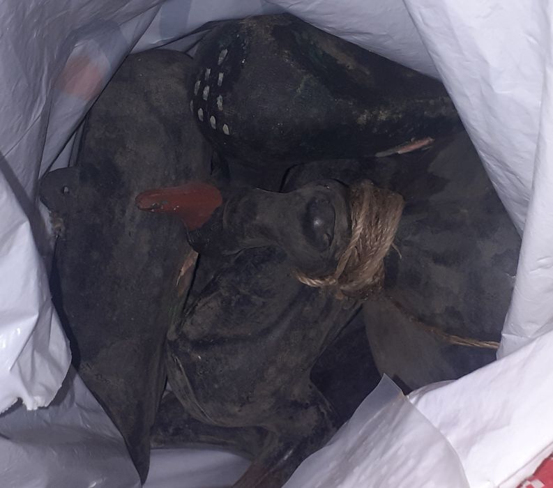 Продам чучела уток