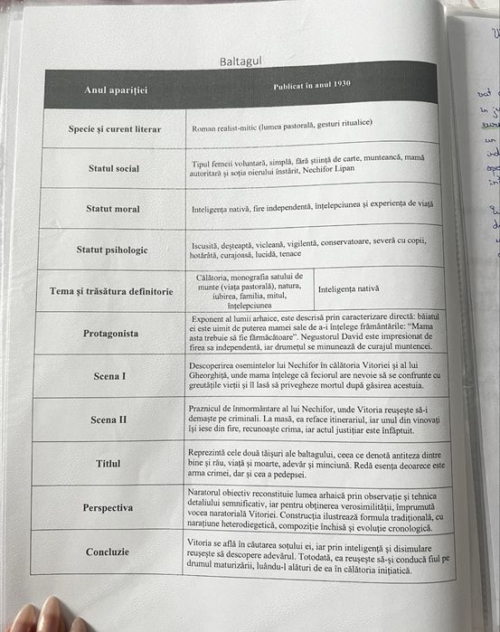 Portofoliu materie pentru Bacalaureat limba română