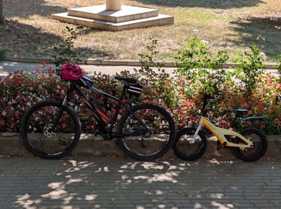 Bicicleta MTB electrica - autonomie asistata 60 km