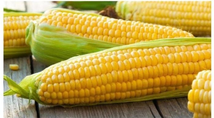 Продам замороженную кукурузу