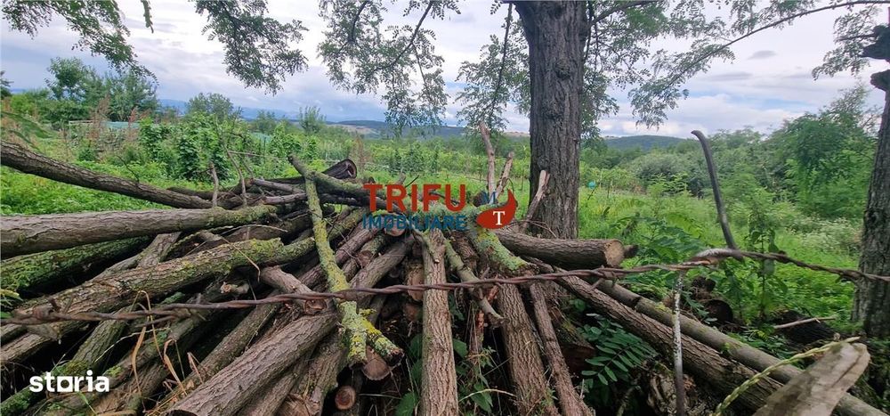 Teren intravilan de vânzare în Straja – ideal pentru casă de vacanță s