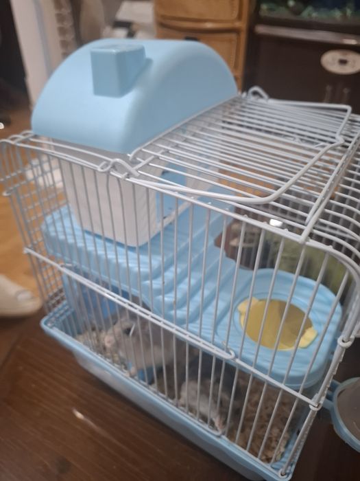 2 мальчика с клеткой продам