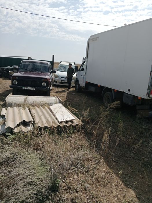 Газель таиота нива