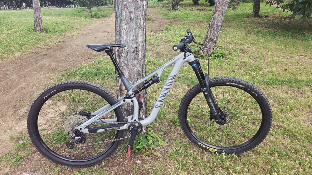 Canyon neuron 5 2022