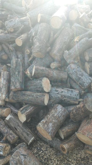 Продам дрова сосна сухая