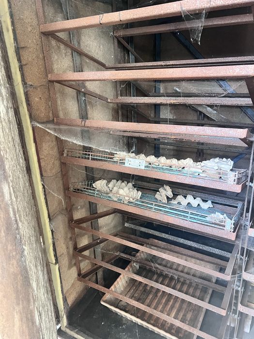 Инкубатор промышленный