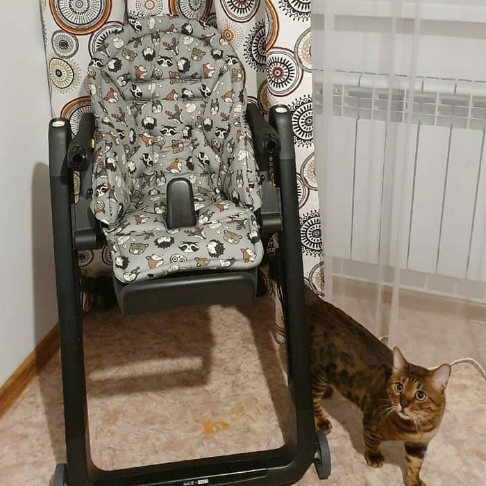 Чехол на стульчик для кормления