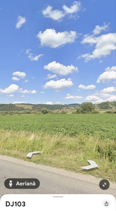 Inchiriez teren 5000 mp deschidere 50 m  in Bod  DJ 130