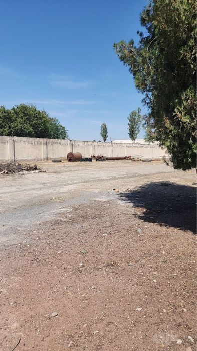 Аренда земля Янгиюль для производство и услуга