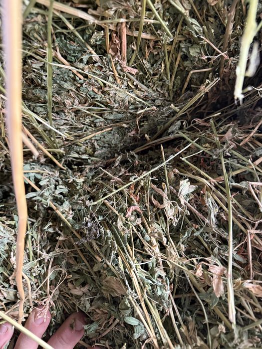 Baloti de ovaz+lucerna