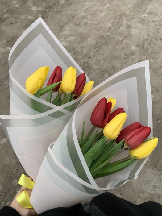 Тюльпаны оптом и в розницу