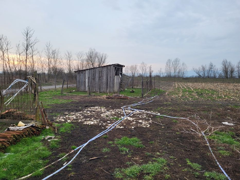 Vand ferma in Jud Arad