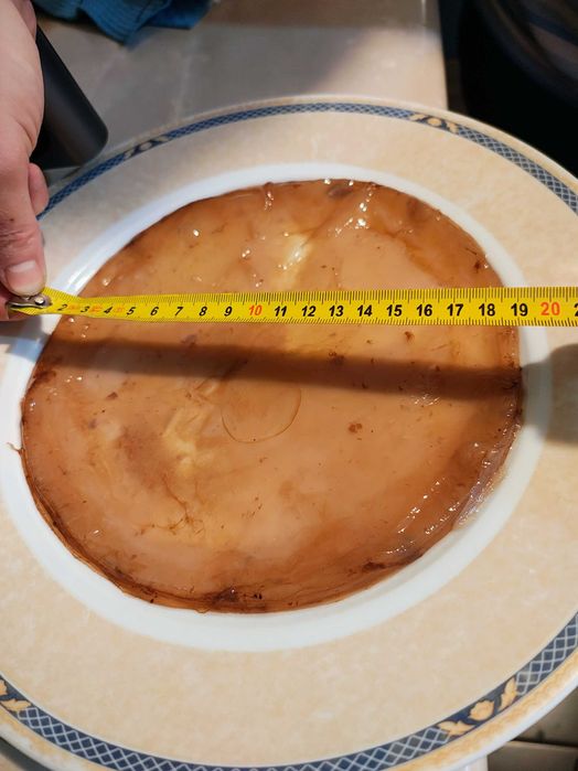 Kombucha starter kit complet zahar sau miere
