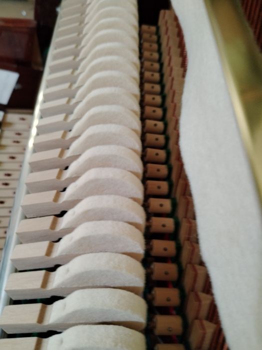 Pianina nemțească Wil. Steinmann