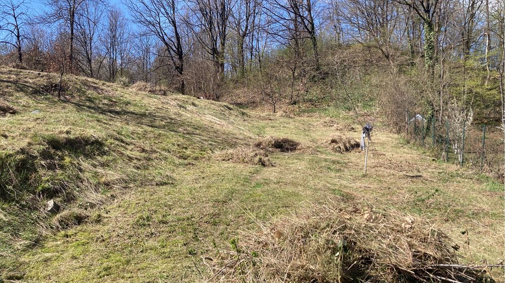 Defrisari si intretinere terenuri/ demolari