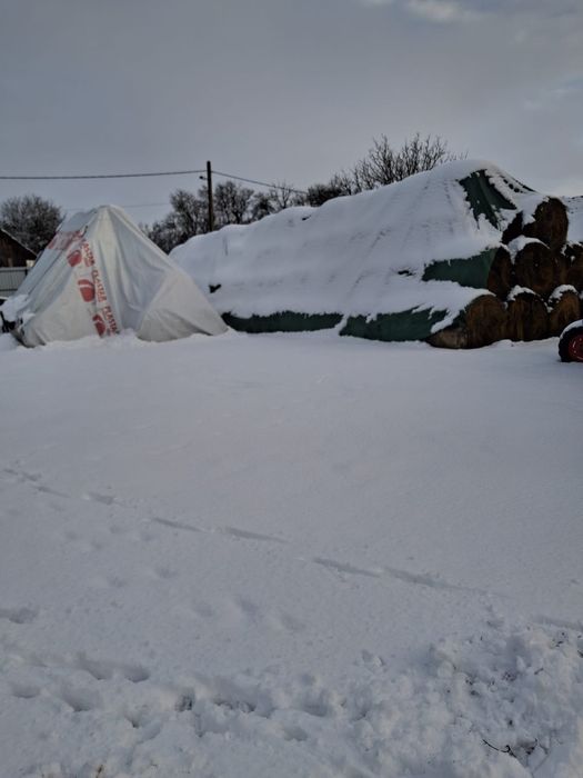 Baloț mari de fîn de vinzare