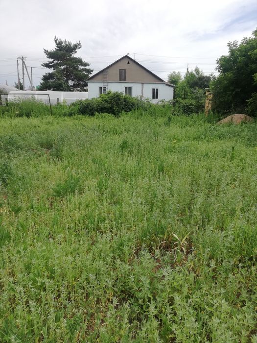 Покос, уборка травы.