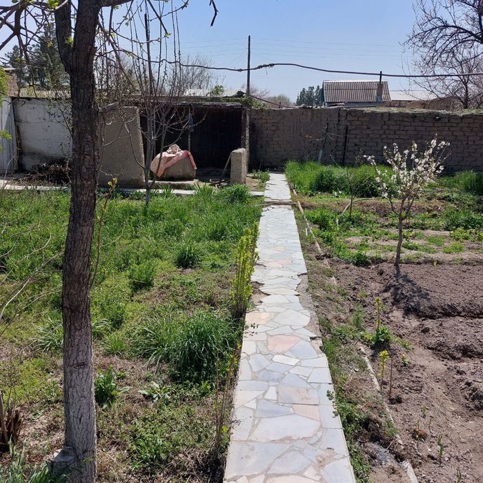 Дала ховли сотилади