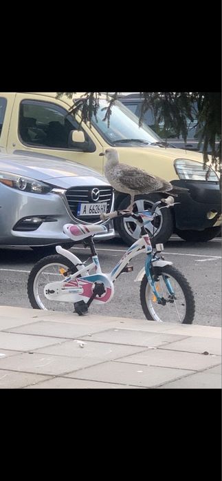 Детски велосипед