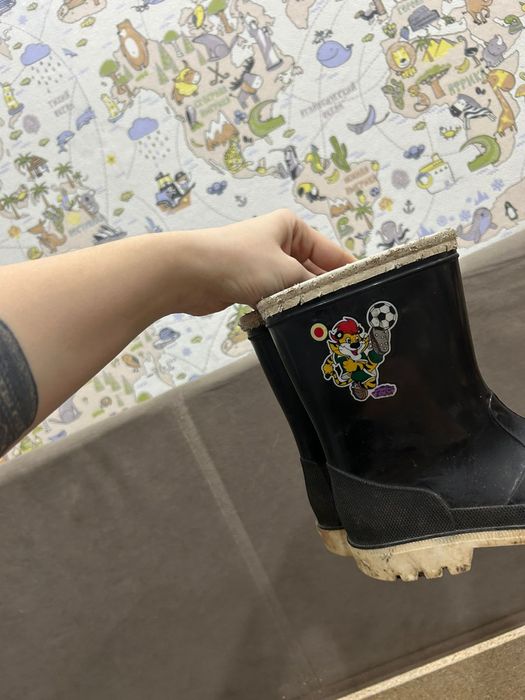 Резиновые сапоги