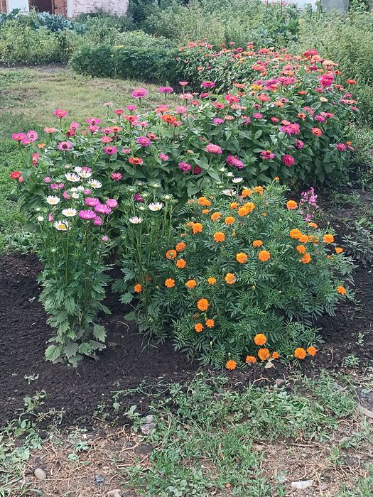 Продам дачу , зимний вариант