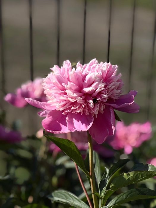 Продам дом 15 км от города