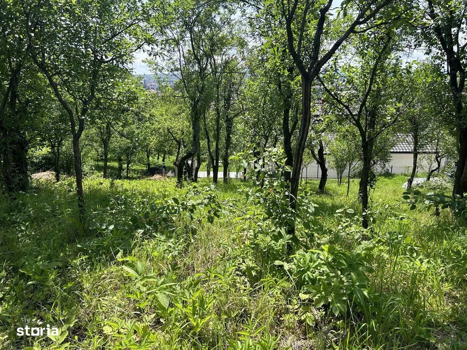 Parcela de 8,86 ari – zona Valea Rosie