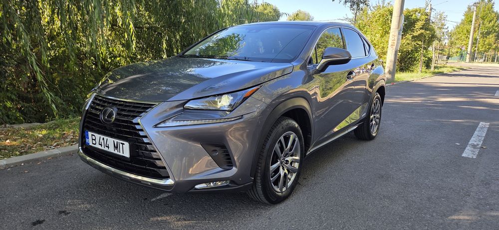 LEXUS NX 2019 — imagine 4