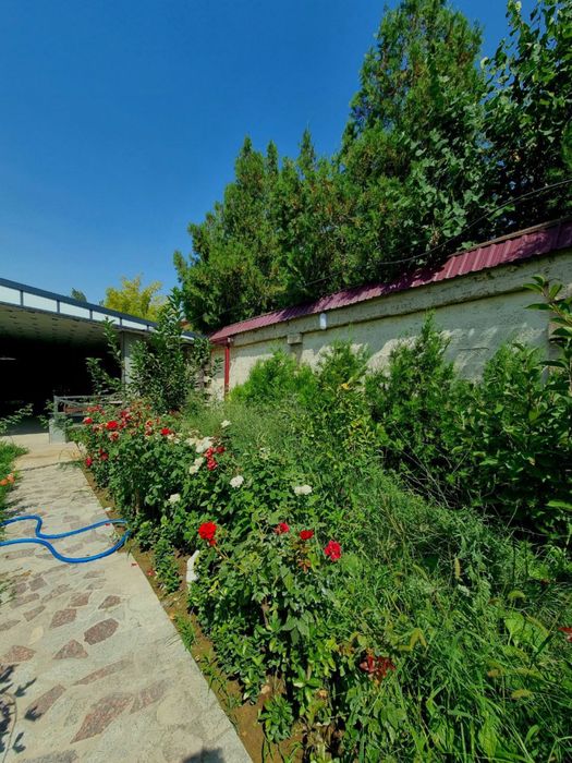 Продается Евро-Дача Газалкент 6 соток