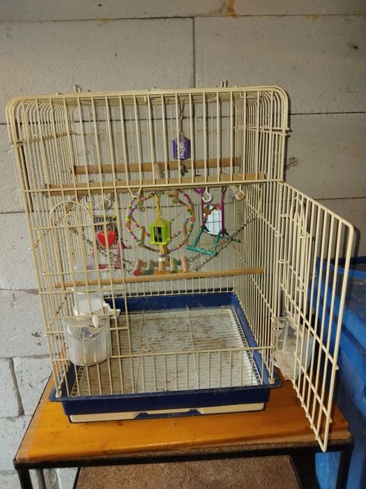 Colivie pentru perusi ,agapornis,micul alexandru