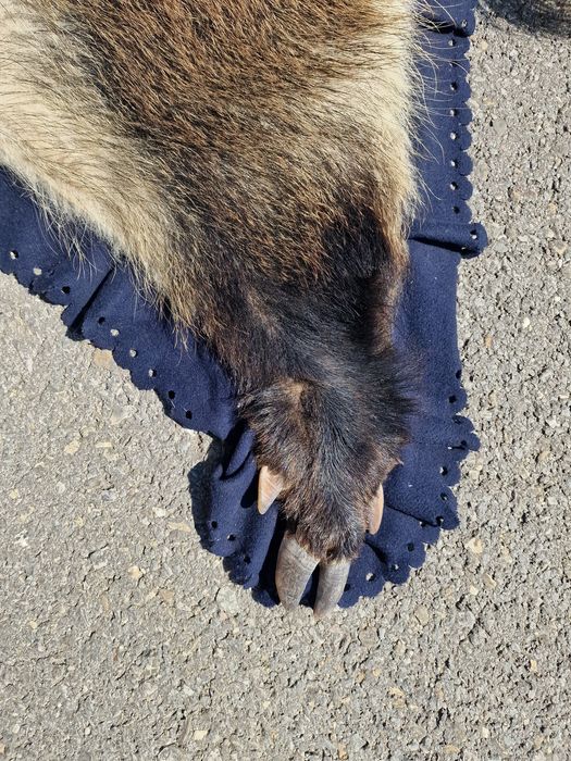 Blană ornamentală de mistreț