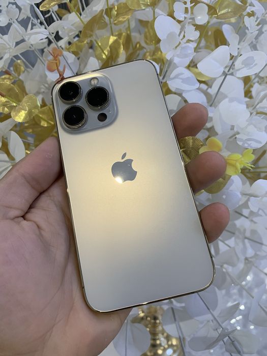 Iphone 13 pro       .