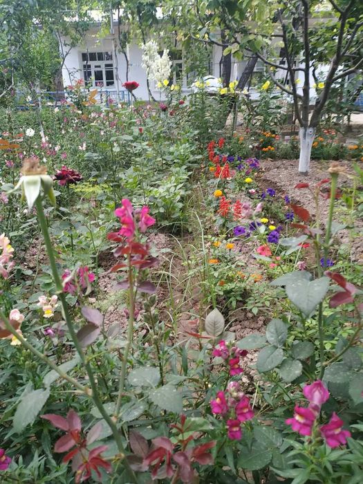 Продается Дом, участок 17 соток