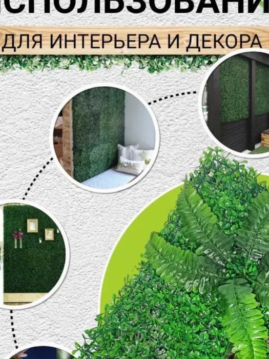 Исскуственная трава на стену для декора 60х40 - DEALER