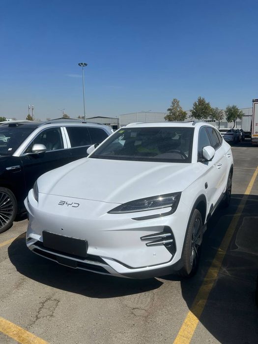 Byd champion Smart 2025/26 NATARIUS