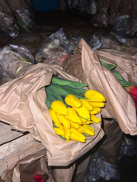 Тюлпаны Алматы опт розница