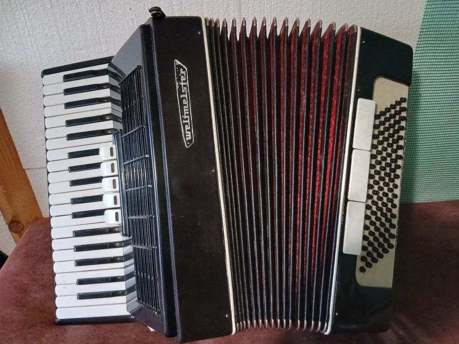 Акоордеон 96 баса
