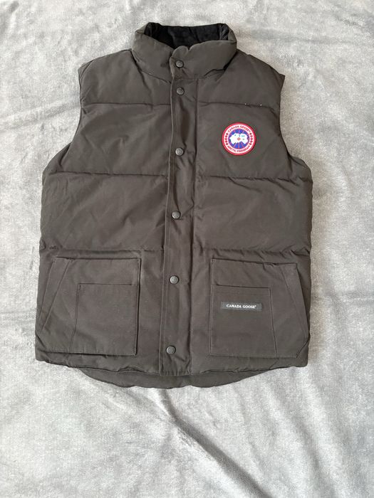Vesta canada goose