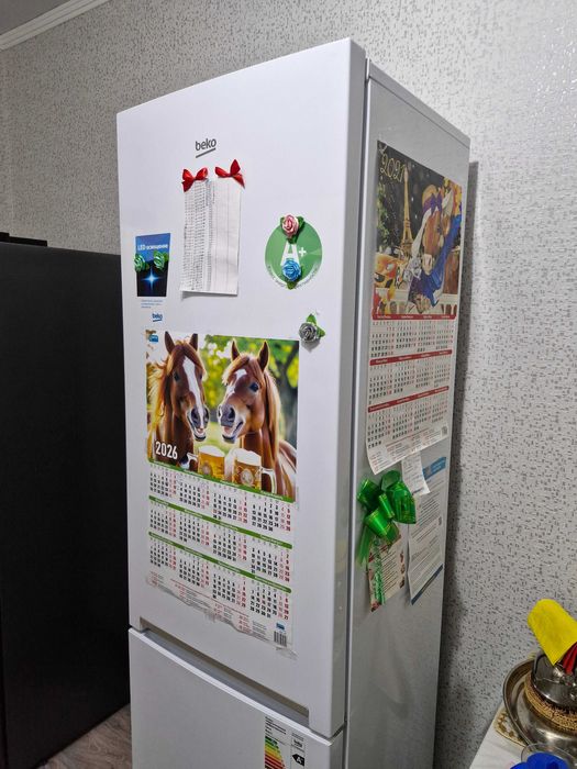 Холодильник Beko