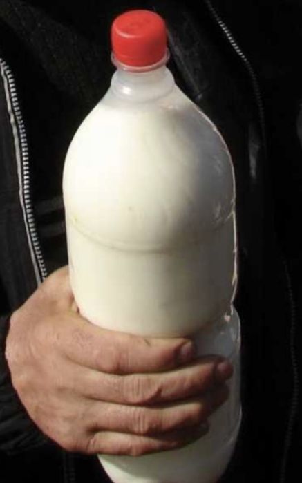 Lapte de capra Anglo Nubian