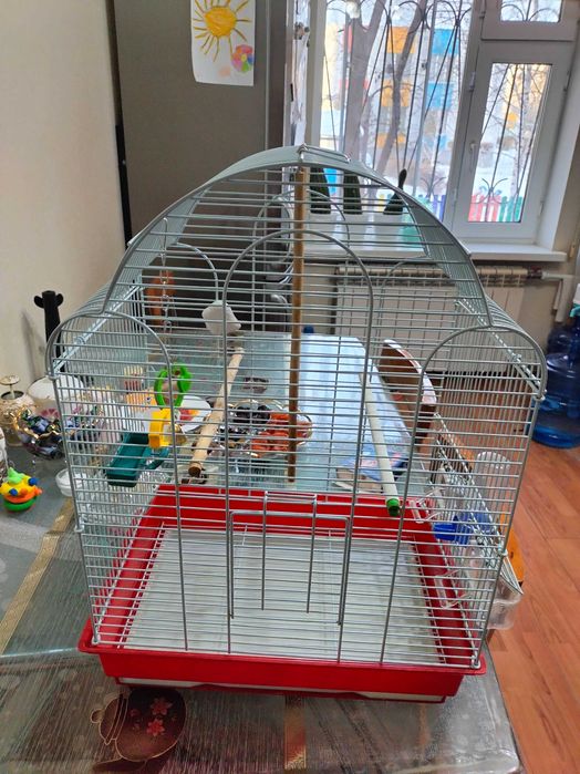 Продам клетку с аксессуарами для попугаев