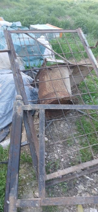 Metallom olamiz Toshkent